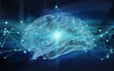 Cómo funciona tu cerebro